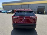 Used 2024 Toyota RAV4 XLE image 5