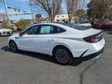 Certified 2025 Hyundai Sonata Limited image 6