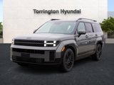 New 2025 Hyundai Santa Fe Calligraphy image 2