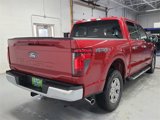 New 2025 Ford F150 XLT w/ Equipment Group 302A MID image 5