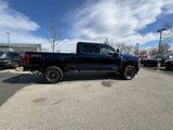 New 2025 Ford F350 Platinum w/ FX4 Off-Road Package image 2