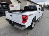 Used 2023 Ford F150 XLT image 3