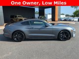 Used 2023 Ford Mustang Coupe w/ Equipment Group 101A image 3