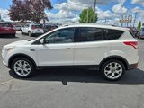 Used 2016 Ford Escape Titanium image 4
