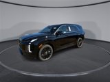 New 2025 Hyundai Palisade Calligraphy image 4