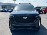 Used 2023 Cadillac Escalade V w/ LPO, Floor Liner Package image 2