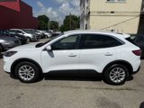 Used 2020 Ford Escape SE image 2