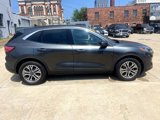 Used 2020 Ford Escape SEL image 5