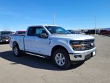 New 2025 Ford F150 XLT w/ Equipment Group 301A Standard image 4