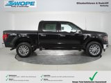New 2025 Ford F150 XLT w/ Equipment Group 303A High image 2