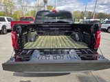 New 2025 Ford F150 XLT w/ Equipment Group 301A Standard image 5