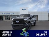 New 2025 Ford F250 Platinum image 3