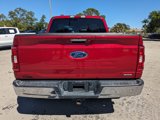 Used 2022 Ford F150 XLT w/ Equipment Group 302A High image 5