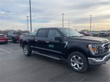 Used 2023 Ford F150 XLT w/ Equipment Group 302A High image 4