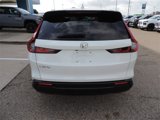 Used 2024 Honda CR-V EX-L image 5