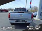 New 2025 Ford F150 STX image 4
