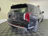 New 2025 Hyundai Palisade Calligraphy image 5