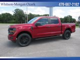 New 2025 Ford F150 STX image 4