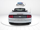Used 2023 Ford Mustang Premium image 5