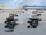 New 2025 Ford F250 Platinum w/ Tremor Off-Road Package image 3
