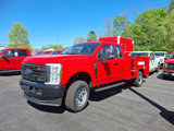 New 2025 Ford F350 XL w/ Snow Plow Prep Package image 3