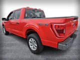 Used 2023 Ford F150 XLT image 5