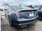 New 2025 Cadillac CT5 Sport w/ Sun And Sound Package image 6