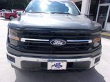 Used 2024 Ford F150 XLT w/ Equipment Group 303A High image 2