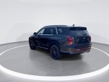 New 2025 Hyundai Palisade Calligraphy image 5