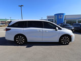 New 2025 Honda Odyssey Elite image 4