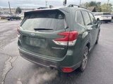 Certified 2024 Subaru Forester Limited image 5