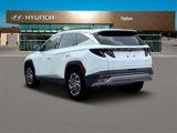 New 2025 Hyundai Tucson Limited image 5