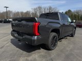 New 2025 Toyota Tundra SR5 image 3