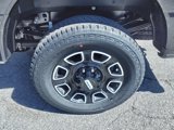 New 2025 Ford F250 Platinum image 4