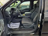 Used 2022 Ford F150 XLT w/ Equipment Group 302A High image 5