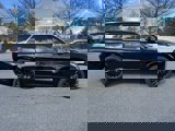 New 2025 Hyundai Palisade Calligraphy image 4