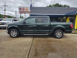 Used 2016 Ford F150 XLT w/ Equipment Group 302A Luxury image 2