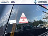 New 2025 Ford F150 Tremor image 4