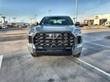 New 2025 Toyota Tundra Platinum image 2