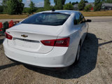 Used 2019 Chevrolet Malibu LS w/ Driver Confidence Package II image 6