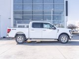 New 2024 Ford F150 XLT w/ Equipment Group 302A MID image 4