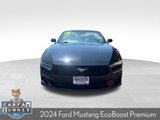 Used 2024 Ford Mustang Premium image 3