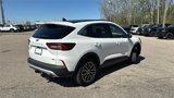 Used 2024 Ford Escape SE image 4