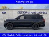 New 2025 Ford Expedition Platinum image 3