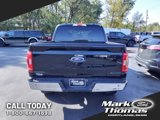 Used 2023 Ford F150 XLT image 4