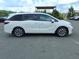 New 2026 Honda Odyssey EX-L image 2