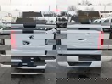 New 2025 Ford F150 XLT w/ Equipment Group 301A Standard image 4