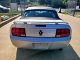 Used 2006 Ford Mustang Convertible image 5