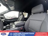 New 2025 Ford F150 XLT w/ Equipment Group 302A MID image 4
