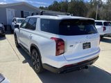 New 2025 Hyundai Palisade XRT image 4